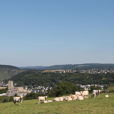 Ferienwohnung Auf Der Moselhoehe - Naehe Koblenz Und Cochem Dieblich Exterior foto