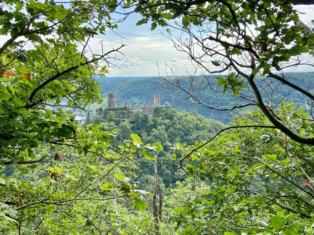Ferienwohnung Auf Der Moselhoehe - Naehe Koblenz Und Cochem Dieblich Exterior foto