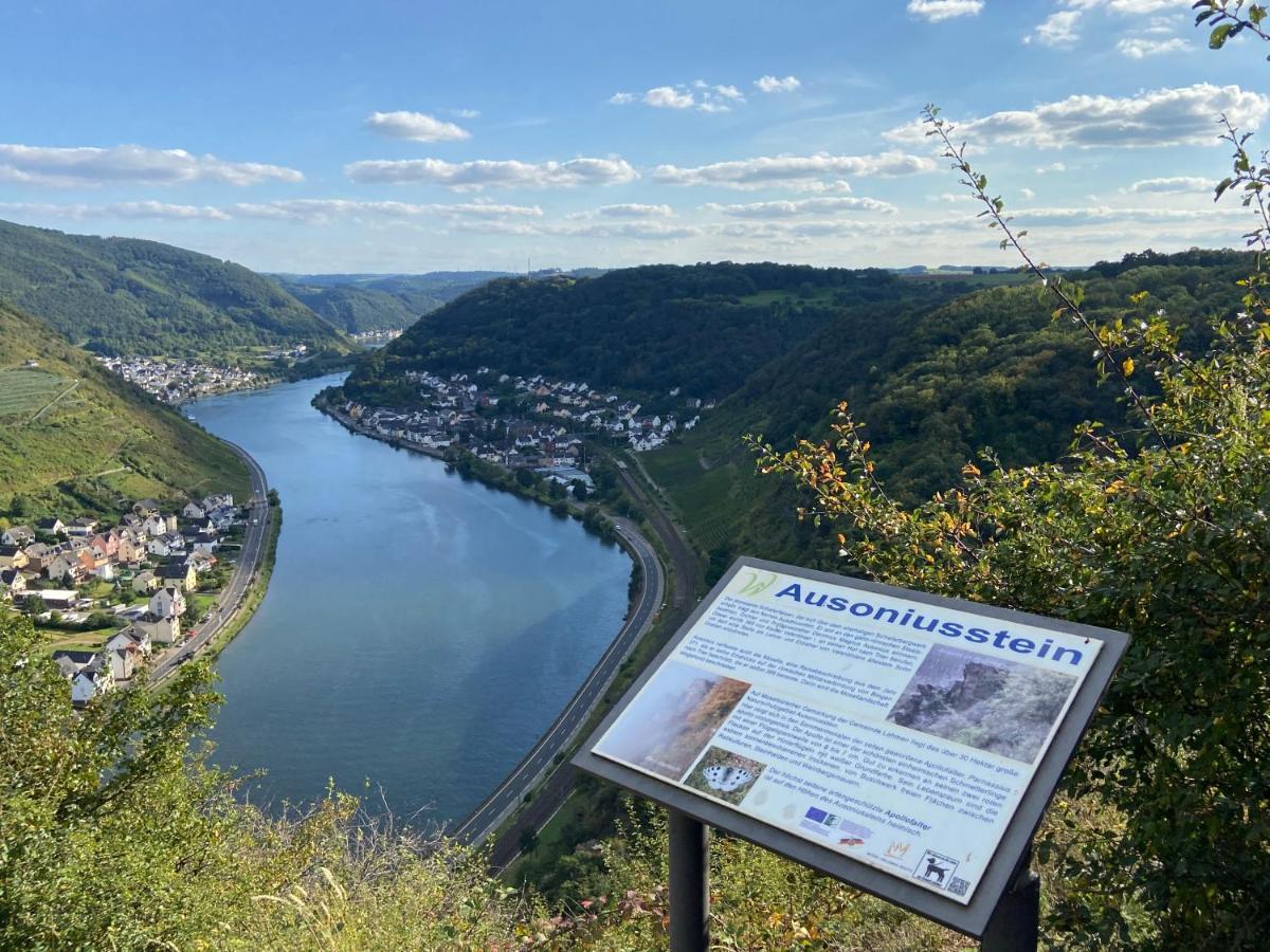 Ferienwohnung Auf Der Moselhoehe - Naehe Koblenz Und Cochem Dieblich Exterior foto